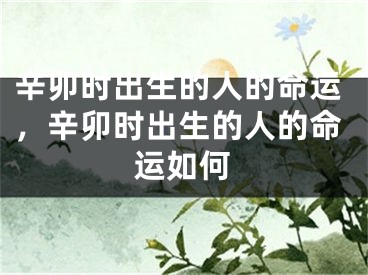 辛卯时出生的人的命运，辛卯时出生的人的命运如何