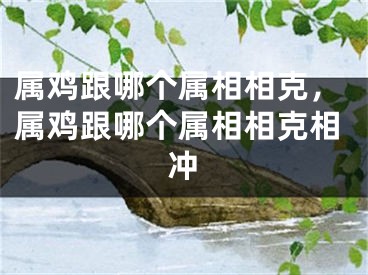 属鸡跟哪个属相相克，属鸡跟哪个属相相克相冲