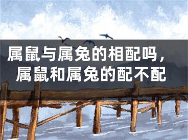属鼠与属兔的相配吗，属鼠和属兔的配不配