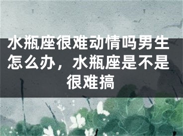 水瓶座很难动情吗男生怎么办，水瓶座是不是很难搞