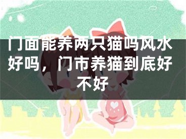 门面能养两只猫吗风水好吗,门市养猫到底好不好