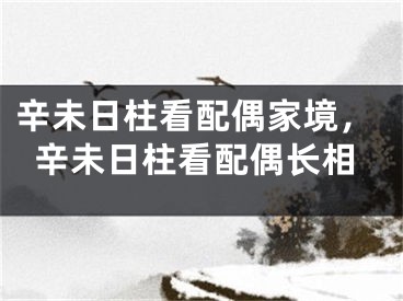 辛未日柱看配偶家境，辛未日柱看配偶长相