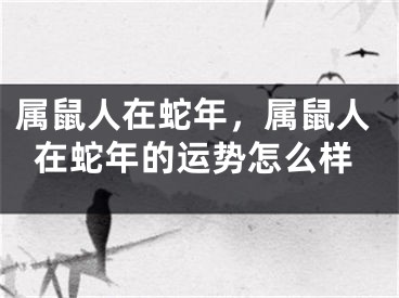 属鼠人在蛇年,属鼠人在蛇年的运势怎么样