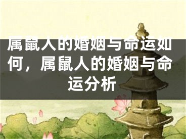 属鼠人的婚姻与命运如何,属鼠人的婚姻与命运分析