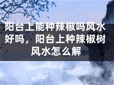 阳台上能种辣椒吗风水好吗,阳台上种辣椒树风水怎么解