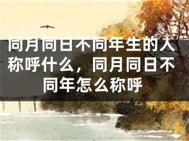 同月同日不同年生的人称呼什么，同月同日不同年怎么称呼
