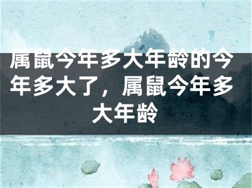 属鼠今年多大年龄的今年多大了,属鼠今年多大年龄