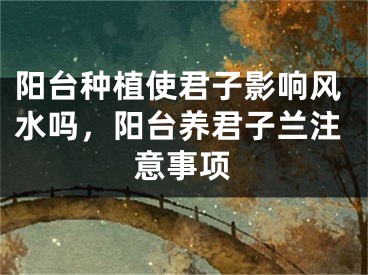 阳台种植使君子影响风水吗,阳台养君子兰注意事项