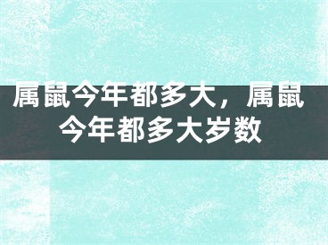 属鼠今年都多大,属鼠今年都多大岁数