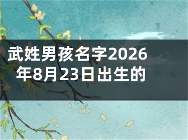 武姓男孩名字2026年8月23日出生的
