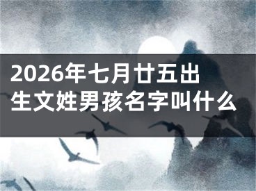 2026年七月廿五出生文姓男孩名字叫什么