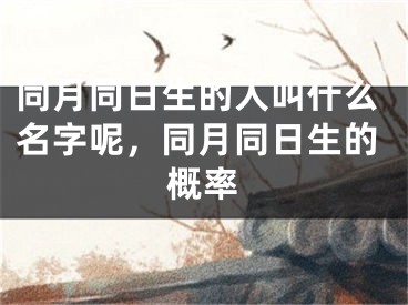 同月同日生的人叫什么名字呢,同月同日生的概率