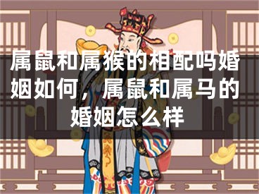 属鼠和属猴的相配吗婚姻如何,属鼠和属马的婚姻怎么样