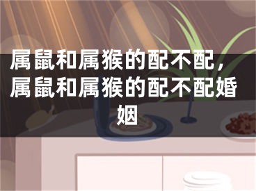 属鼠和属猴的配不配,属鼠和属猴的配不配婚姻