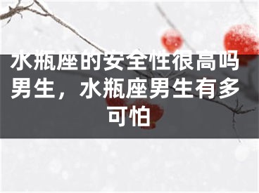 水瓶座的安全性很高吗男生，水瓶座男生有多可怕