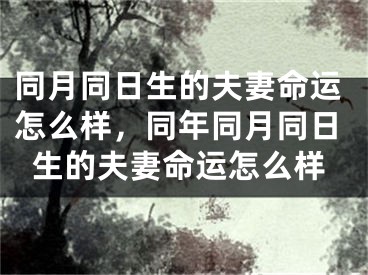 同月同日生的夫妻命运怎么样,同年同月同日生的夫妻命运怎么样