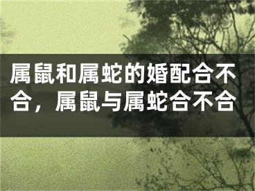 属鼠和属蛇的婚配合不合,属鼠与属蛇合不合