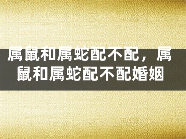 属鼠和属蛇配不配,属鼠和属蛇配不配婚姻