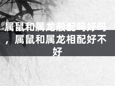 属鼠和属龙般配吗好吗,属鼠和属龙相配好不好