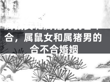 属鼠女和属猪男的合不合，属鼠女和属猪男的合不合婚姻