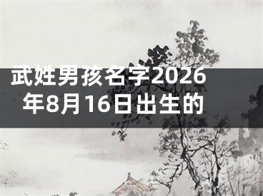 武姓男孩名字2026年8月16日出生的