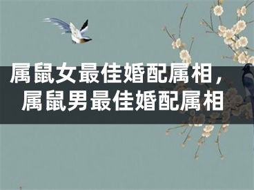 属鼠女最佳婚配属相，属鼠男最佳婚配属相 