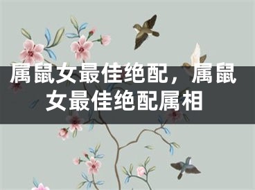 属鼠女最佳绝配，属鼠女最佳绝配属相 