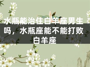 水瓶能治住白羊座男生吗，水瓶座能不能打败白羊座