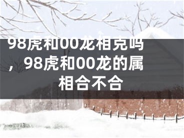 98虎和00龙相克吗,98虎和00龙的属相合不合
