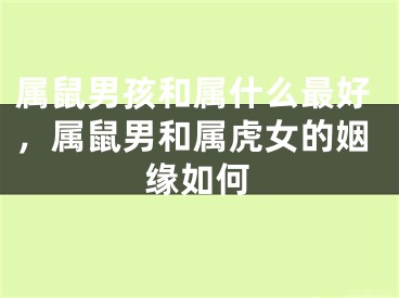 属鼠男孩和属什么最好,属鼠男和属虎女的姻缘如何