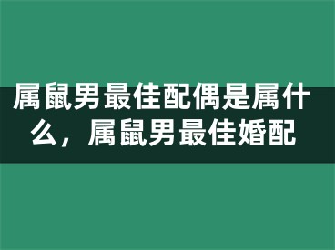 属鼠男最佳配偶是属什么，属鼠男最佳婚配