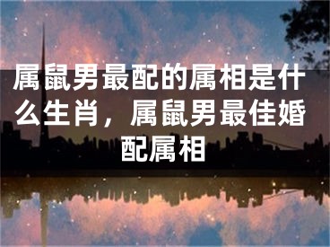 属鼠男最配的属相是什么生肖，属鼠男最佳婚配属相