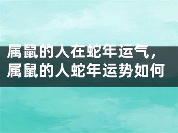 属鼠的人在蛇年运气，属鼠的人蛇年运势如何