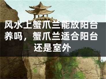 风水上蟹爪兰能放阳台养吗，蟹爪兰适合阳台还是室外