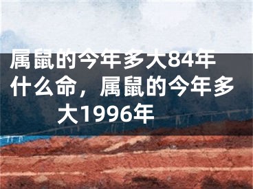 属鼠的今年多大84年什么命，属鼠的今年多大1996年