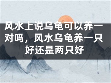 风水上说乌龟可以养一对吗，风水乌龟养一只好还是两只好