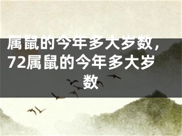 属鼠的今年多大岁数，72属鼠的今年多大岁数