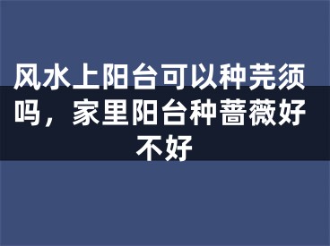 风水上阳台可以种芫须吗，家里阳台种蔷薇好不好