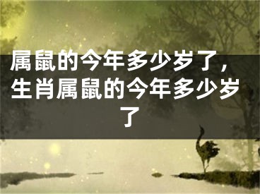 属鼠的今年多少岁了,生肖属鼠的今年多少岁了