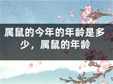 属鼠的今年的年龄是多少，属鼠的年龄