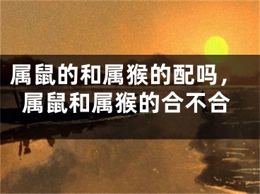属鼠的和属猴的配吗，属鼠和属猴的合不合