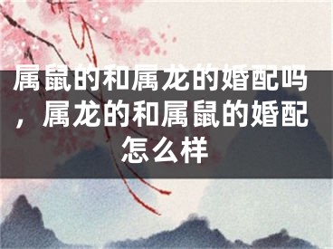 属鼠的和属龙的婚配吗，属龙的和属鼠的婚配怎么样