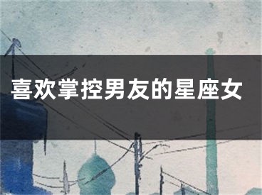 喜欢掌控男友的星座女