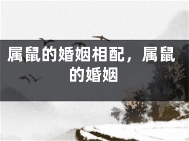 属鼠的婚姻相配，属鼠的婚姻