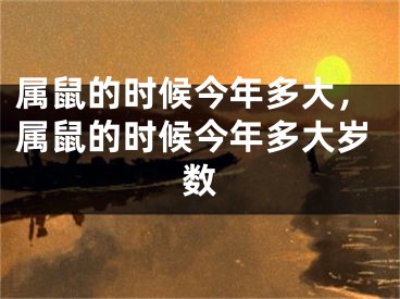 属鼠的时候今年多大，属鼠的时候今年多大岁数
