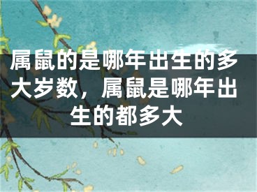 属鼠的是哪年出生的多大岁数，属鼠是哪年出生的都多大
