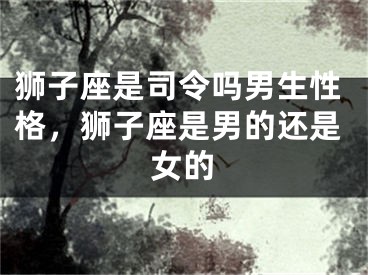 狮子座是司令吗男生性格，狮子座是男的还是女的