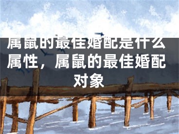 属鼠的最佳婚配是什么属性,属鼠的最佳婚配对象