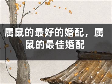 属鼠的最好的婚配，属鼠的最佳婚配