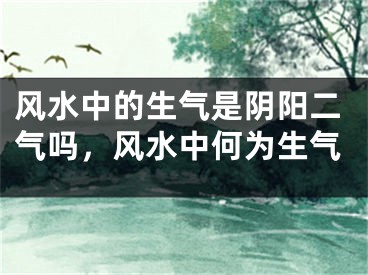 风水中的生气是阴阳二气吗，风水中何为生气